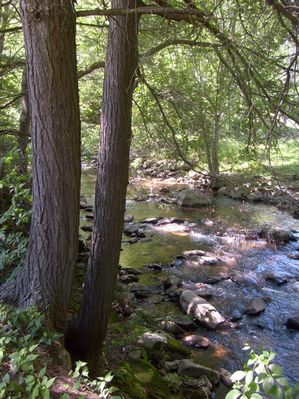 Troutdale - Fox Creek
Photo June 6, 2007 by Jeff Weaver
