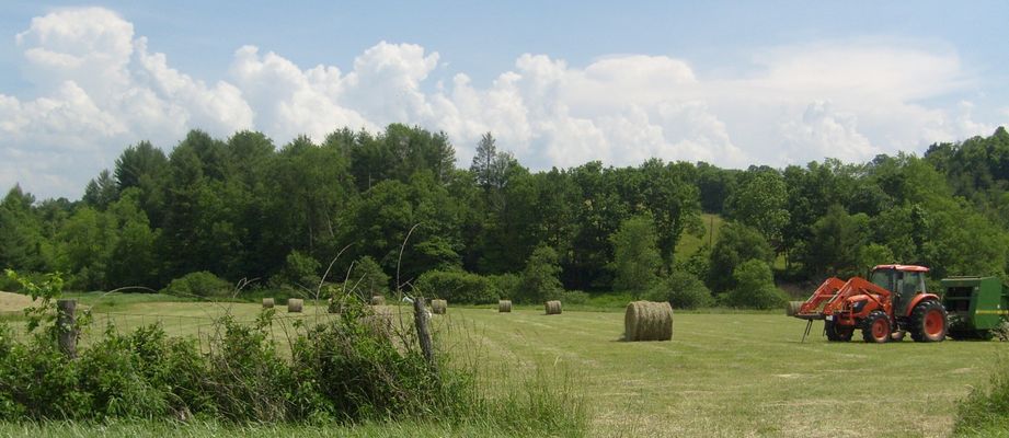 Gold Hill - Making Hay
Another shot of hay operations at Gold Hill.  Cattle raising is still an important agricultural pursuit in the New River valley. Photo by Jeff Weaver, June 8, 2007.
