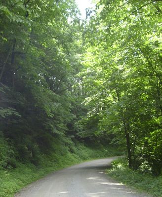 Mouth of Wilson - Round House Road
One of the many dirt roads which still dot the Grayson County countryside.  Photo by Jeff Weaver, June 8, 2007.
