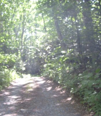 Rocky Hollow - Hemlock Lane
Wonder what is at the end of this lane?  Photo by Jeff Weaver, June 8, 2007.

