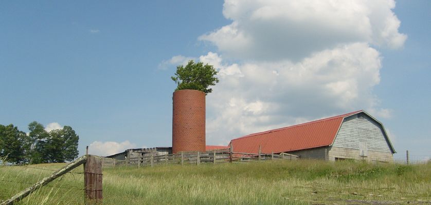 Rocky Hollow - Barn and Silo
Once common, many are in disrepair.  Note the tree growing out of the silo.  Photo by Jeff Weaver, June 8, 2007.
