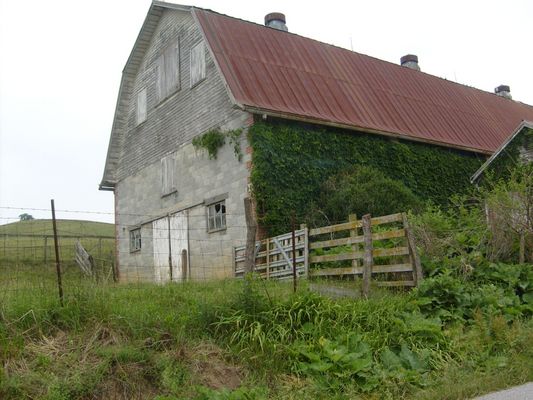 Chilhowie - Barn on Lyons Gap Road
Photo by Jeff Weaver, June 11, 2007.

