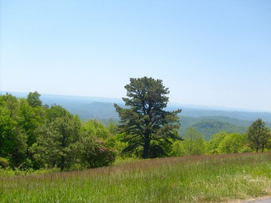 Mahogany Rock - Overlook View
[url=http://www.virtualblueridge.com/parkway_tour/overlooks/00235.asp]Click here for an interesting video taken at Mahogany Rock[/url] Photo by Jeff Weaver, May 20, 2007.
