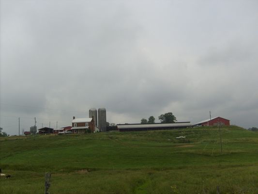 Mouth of Wilson - Phipps Dairy Farm
Photo by Jeff Weaver, June 2007.
