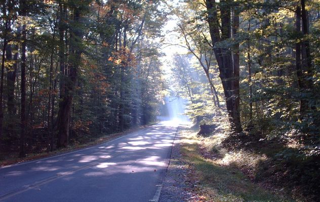 pics 151.jpg
This is a shot of Fairwood Road on September 27, 2006 by Jeff Weaver.
