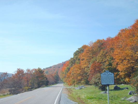 pics 190.jpg
Photo by Jeff Weaver, October 4, 2006.
