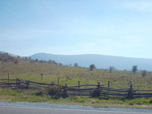 pics 192.jpg
This is a photo of Mount Rogers taken from Elk Garden on October 4, 2006 by Jeff Weaver.
