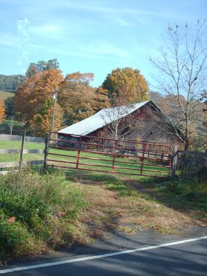 pics 198.jpg
Photo October 4, 2006 by Jeff Weaver.  This photo shows one of the barns on the old Perkins Plantation on Helton Creek.
