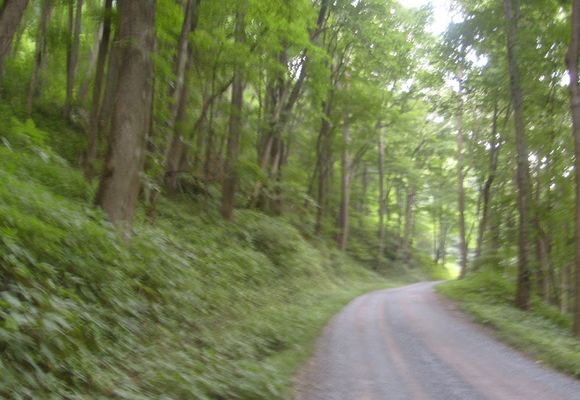 Tumbling Creek - Road to the Lake
This road lies in the old railroad bed which led to the top of Clinch Mountain.  There are numerous switchbacks.  It leads to Laurel Bed Lake at the top of Clinch Mountain.  Photo July 14, 2007 by Jeff Weaver.
