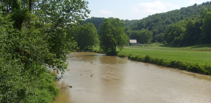 Weaver's Ford - Ducks in New River
New River is muddy after a heavy rain the day before.  The wood ducks on the river blend in well.  Photo July 18, 2007 by Jeff Weaver.
