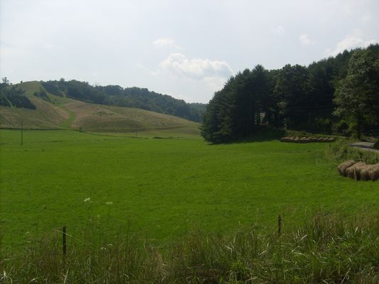 pics 299.jpg
This July 18, 2007 photo by Jeff Weaver shows the Billy Bottoms.  The Billy Bottoms were once part of the farm of William Phipps (1783-1870+) son of Benjamin Phipps and Jane Hash, and proginatory of most of the Phipps Family in Ashe County.
