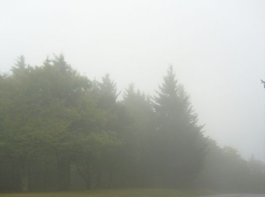 pics 423.jpg
This mid-September 2007 photo shows the fogs that often roll in on the heights of the Grayson Highlands.  Photo by Jeff Weaver.
