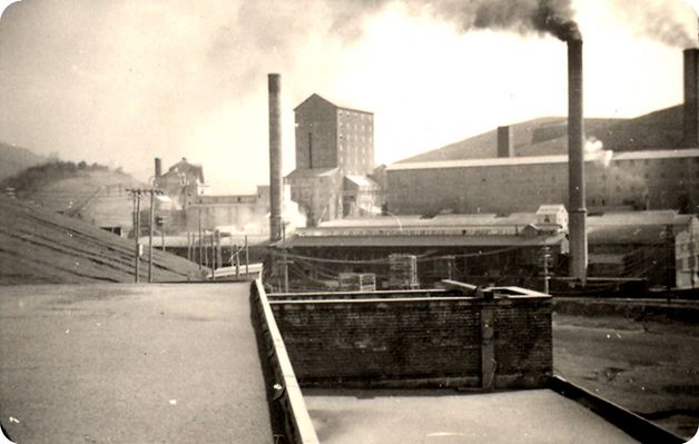 porterdryiceplant.jpg
This is a 1937-40 image of the one of the industrial facilities operated by Mathieson Alkali Works in Saltville.  Photo by John Porter, courtesy of Doug Ogle.
