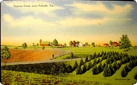 pulaskifarm.jpg
This 1930s postcard shows a "typical" farm.  
