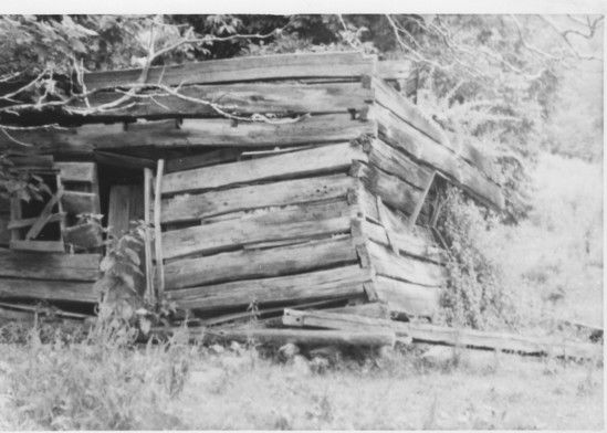 Reedy Cabin
This is a photo by Jeff Weaver of the ruins of the Reedy Cabin on Fees Ridge.  Photo July 1, 1978
