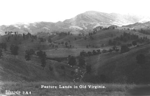 richlandspasture1937.jpg
This 1937 postcard shows some of the blue-grass pasture land available 70 years ago.
