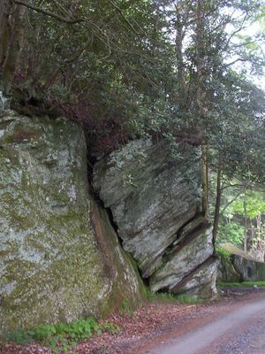 rock.jpg
This is an unusual rock formation.  Photo by Jeff Weaver, May 2005.
