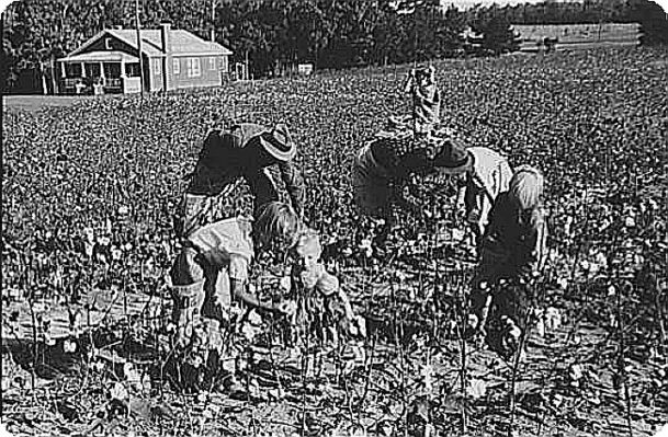 sharecroppers.jpg
This 1940s photo shows a sharecropping family near Statesville, Iredell County, NC.
