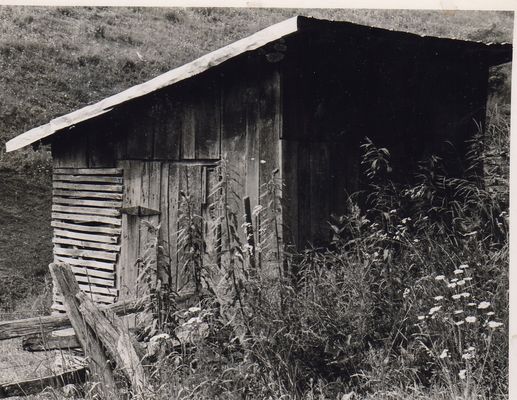 shedonspencerbranch.jpg
This shed was located on Spencer Branch road just across the Grayson county line from Helton in Ashe County, when this snapshot was taken in June 1978.  This construction design is fairly common in this part of Appalachia.

