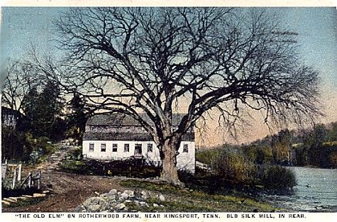 Kingsport - Rotherwood Farm
This 1940s postcard shows the "Old Elm" and the Silk Mill on the banks of the North Fork of the Holston River.

