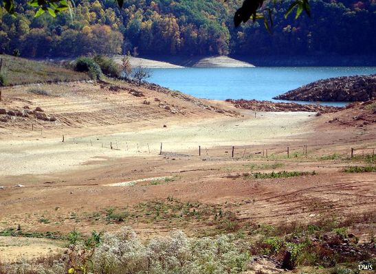 South Holston Lake - Snapp's Fence
IN NORMAL TIMES...THE FENCE CROSSING THE HOLLOW WAS A GOOD SPOT FOR CATCHING CRAPPIE. NOT NOW. Courtesy of Don Smith[email]dsmith1043@comcast.net[/email]

 
