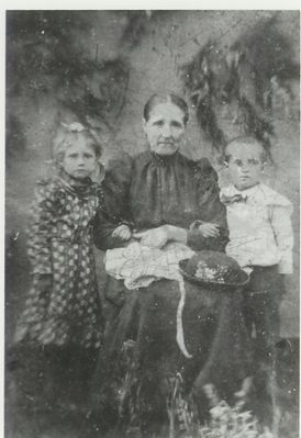 spencercynthoa.jpg
Cynthia Alice Osborne Spencer (c) with twins Blannie Emaline and John Blake.  This photo, made about 1903.  Courtesy of Eleanor Jo Cox [email]ejcox@naxs.com[/email]
