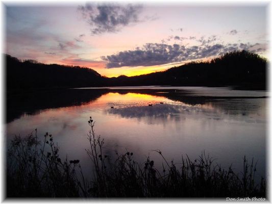 Saltville - Well Fields at Sunset
DUCKS ON THE POND, FEATURING HUEY, DEWEY AND LOUIE  /  SALTVILLE, VA.  /  JAN. 7, 2008.  Courtesy of Don Smith [email]dsmith1043@cmcast.net[/email]

 


