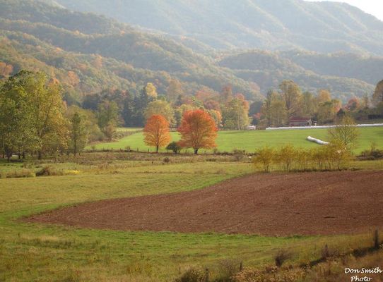 Tannersville - Pastoral Scene
Tannersville in October. Courtesy of Don Smith [email]dsmith1043@comcast.net[/email]
