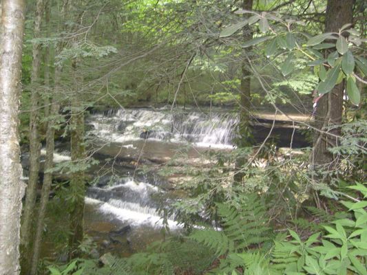Saltville - Tumbling Creek Falls
This is another of the many water falls on Tumbling Creek, near Saltville, Virginia.  Photo July 15, 2007 by Jeff Weaver.

