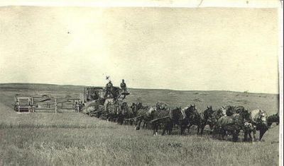 Threshing Wheat Early 20th Century
Keywords: Agriculture, Farming, Threshing, Wheat
