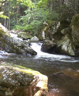 tumblingcreekfalls.jpg
View near Saltville, Virginia, taken summer 2003 by Jeff Weaver
