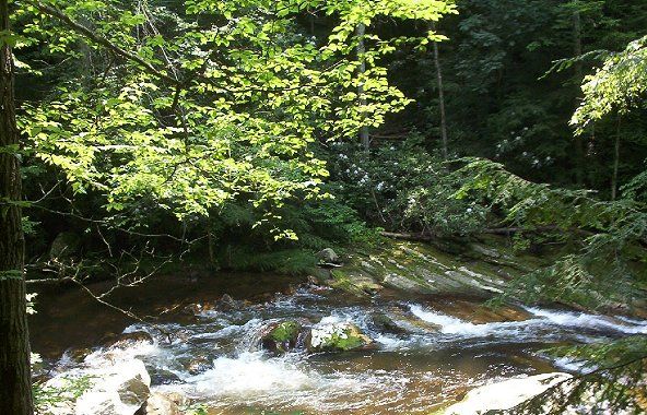 tumblingcreekfalls3.jpg
Located near Saltville, this photo by Jeff Weaver in the summer of 2003, shows the falls from above.
