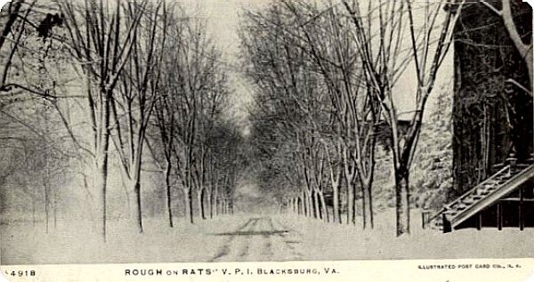 Blacksburg - Virginia Polytechnic Institute
This 1906 postcard shows a  snowy day on the VPI campus.
