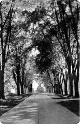 vpipromenade.jpg
This is from a 1920s postcard.
