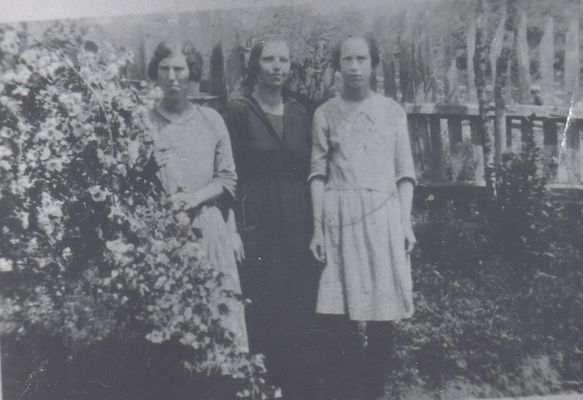 weaverflorence.jpg
These three girls are all daughters of Clayborn Monroe Weaver and Martha Litisha Phipps.  This photo was taken on Wolf Knob, but all three later moved to Smyth County, Virginia.
