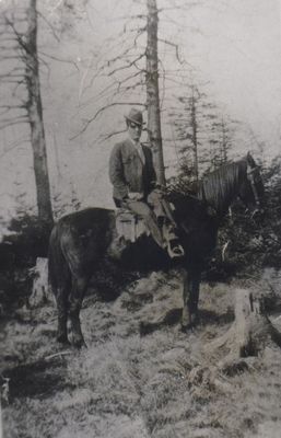 weaverray.jpg
This is Ray Weaver, son of Clayborn Monroe Weaver and Martha Litisha Phipps.  This photo was taken on Fees Ridge, but he later lived in Smyth County, Virginia and in Sophia, West Virginia.
