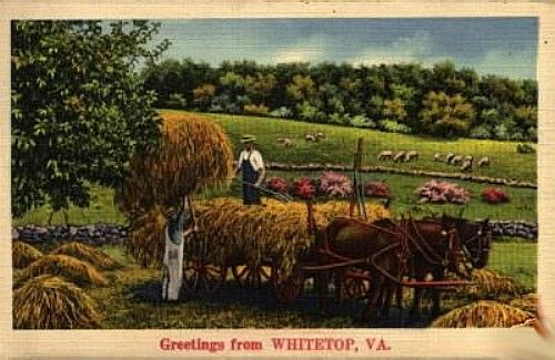 whitetopcard1940s.jpg
In the mid-20th century a number of fantasy postcards were issued.  This is one of them.
