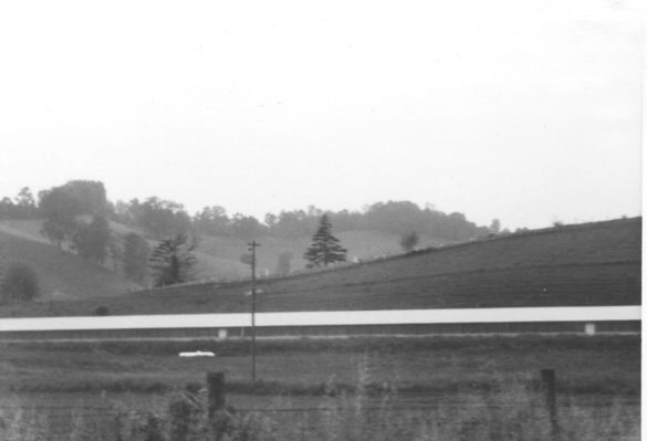 zionhillcem1.jpg
This photo taken in June 1978 by Jeff Weaver, shows Zion Hill Cemetery from the highway.  The building in the center of the photo is a chicken house.

