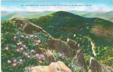 pinnacleview.jpg
This is the view from the top of Pilot Mountain
