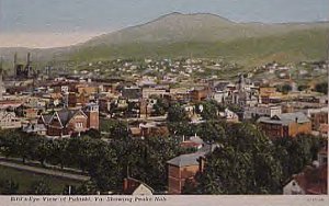 pulaskibeye.jpg
From an early 20th century postcard.
