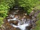 000_0646.JPG