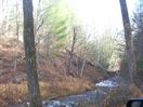 100_1869.jpg