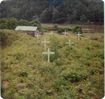Filename=Francis_Sturgill_Cemetery1.jpg
Filesize=91KiB
Dimensions=620x585
Date added=Oct 03, 2006 Francis_Sturgill_Cemetery1.jpg
