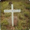 Filename=Francis_Sturgill_Cemetery2.jpg
Filesize=99KiB
Dimensions=621x618
Date added=Oct 03, 2006 Francis_Sturgill_Cemetery2.jpg