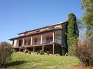 Minitree_Jones_Home_by_S.D..JPG
