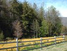 Filename=Picture 116.jpg
Filesize=1065KiB
Dimensions=2048x1536
Date added=May 02, 2006 Picture 116.jpg