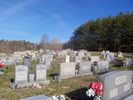 Filename=PineyGroveCemetery2.jpg
Filesize=937KiB
Dimensions=2304x1728
Date added=Mar 19, 2006 PineyGroveCemetery2.jpg