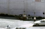 Filename=Shepherdsweeney.jpg
Filesize=49KiB
Dimensions=800x515
Date added=Jun 23, 2007 Shepherdsweeney.jpg