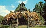 Filename=allsaintsch.jpg
Filesize=23KiB
Dimensions=293x178
Date added=Jan 27, 2006 allsaintsch.jpg