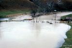 Filename=beaverccreekflood1972.jpg
Filesize=64KiB
Dimensions=800x535
Date added=Nov 15, 2007 beaverccreekflood1972.jpg